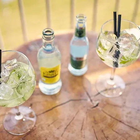 Der Valk Htl Ara Hotel 4*