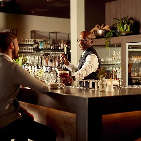 Der Valk Htl Ara 兹韦恩德雷赫特