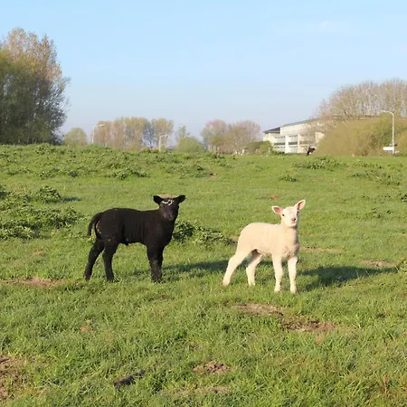Der Valk Ara Zwijndrecht