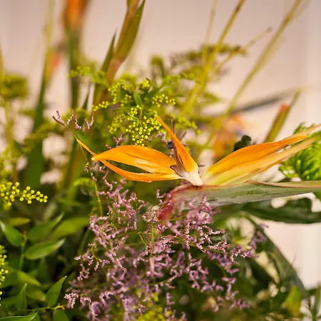 Der Valk Htl Ara 兹韦恩德雷赫特