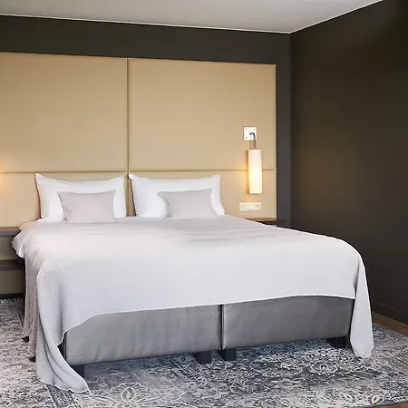 ホテル Der Valk Htl Ara ズウェインドレヒト