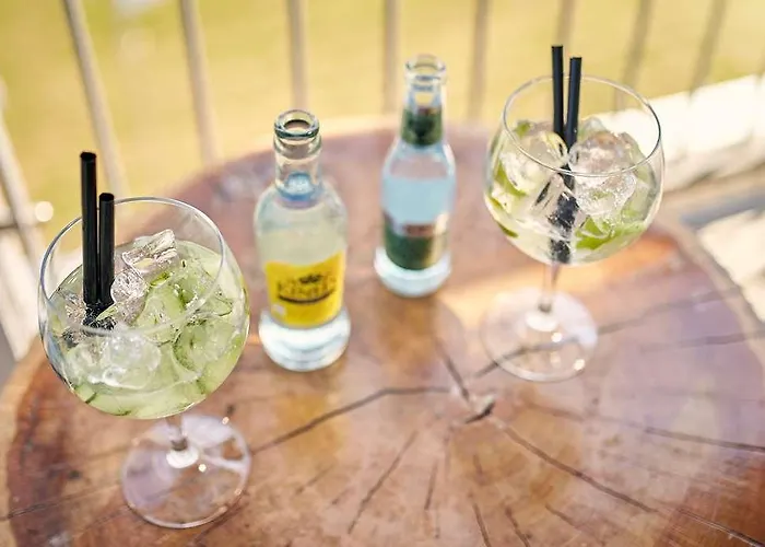 Der Valk Htl Ara Ξενοδοχείο 4*