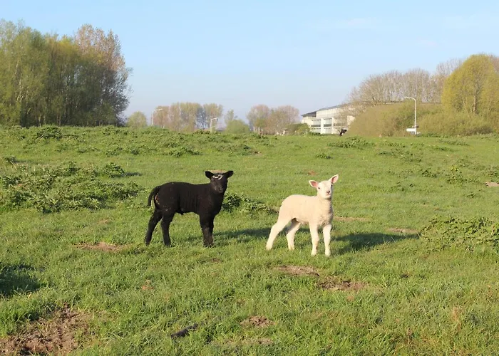 Der Valk Htl Ara Zwijndrecht