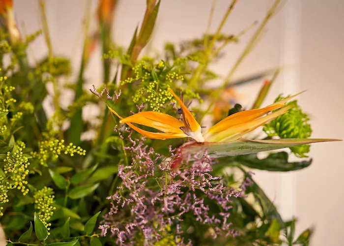 Der Valk Htl Ara Zwijndrecht