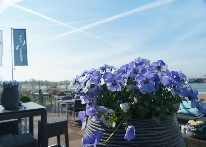 Der Valk Htl Ara Hotel